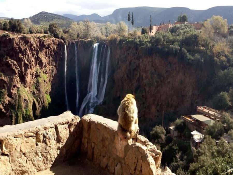 Marrakesh: Ouzoud Waterfalls Trip with Hike & Boat Option - Lunch beside the water