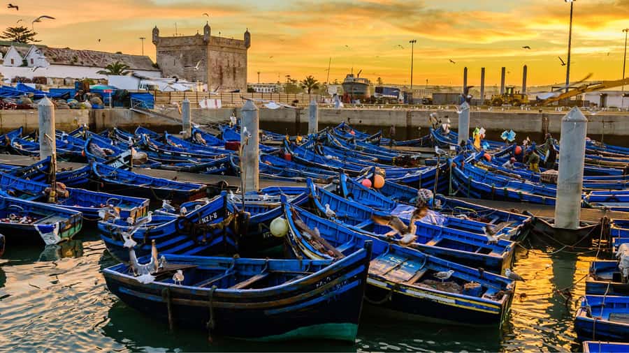 Marrakesh to Essaouira: Small-Group Day Trip & Cooperatives - Key points to know before booking