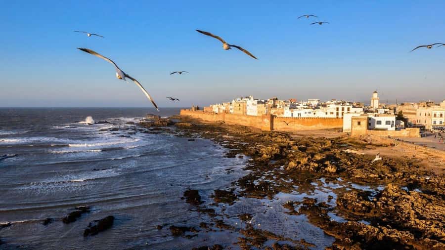 Marrakesh to Essaouira: Small-Group Day Trip & Cooperatives - The Sqala and the old harbor