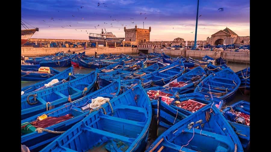 Marrakesh to Essaouira: Small-Group Day Trip & Cooperatives - Four hours to eat, walk, and set your own pace