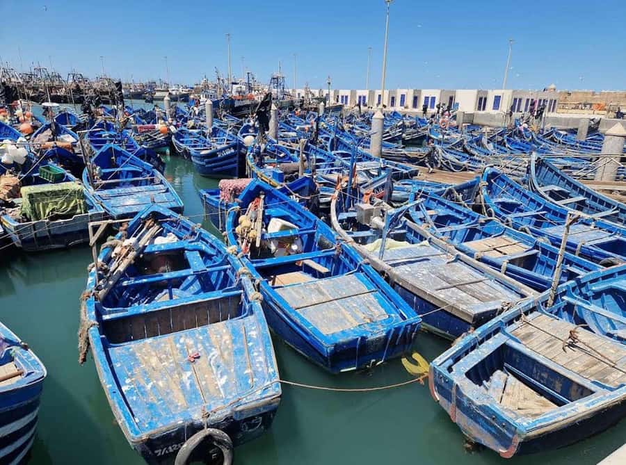 Marrakesh to Essaouira: Small-Group Day Trip & Cooperatives - First look at Essaouira’s compact medina