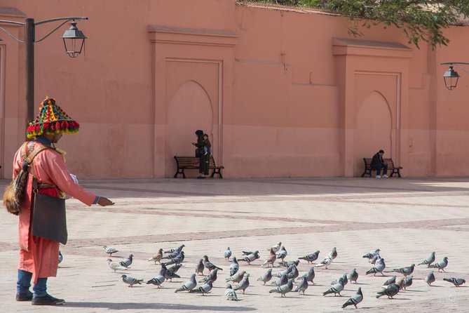 Medina of Marrakech Walking Tour - Bahia Palace and the problem of pacing