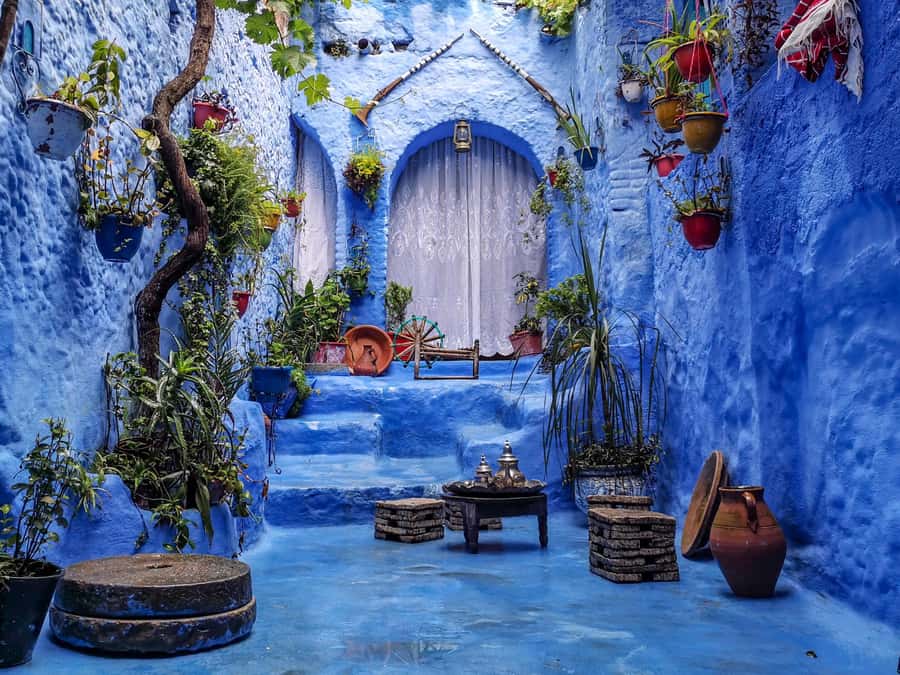 Memorable Day Trip From Fez to Chefchaouen the Blue City - The road to the Rif Mountains is part of the day