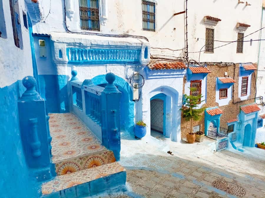 Memorable Day Trip From Fez to Chefchaouen the Blue City - Who will get the most from this day trip