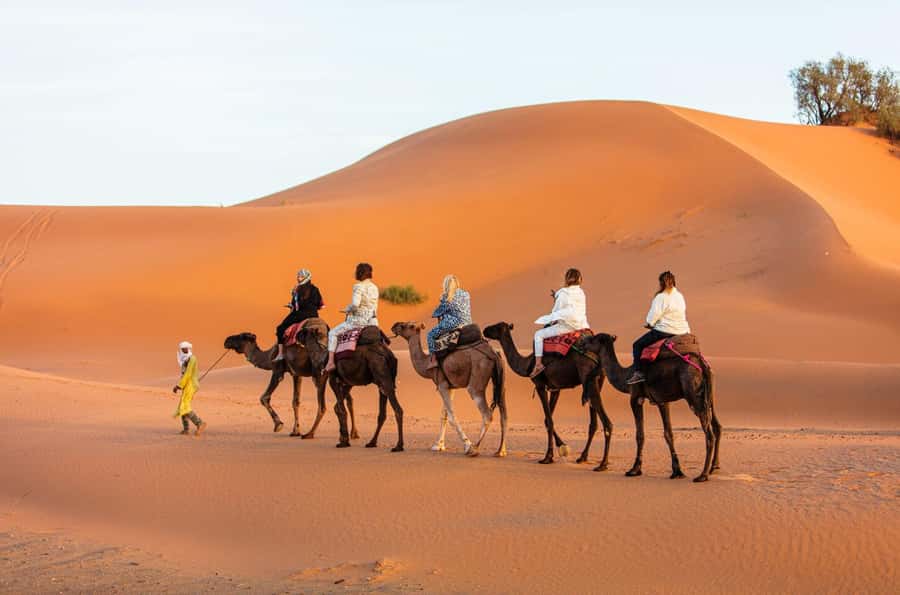 Merzouga: 1-Night in Desert Camp With Dinner & camel ride - Guides, languages, and group size