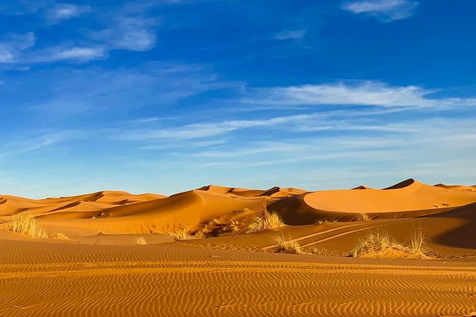 Moroccan Desert 3-Day Luxury Tour from Marrakech - Day 2: Todra Gorge before the Sahara