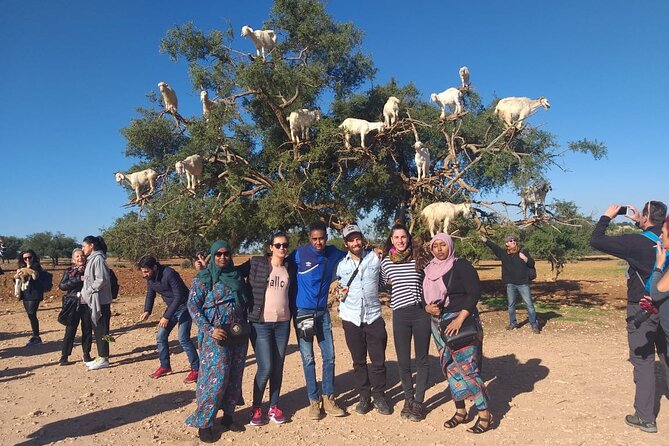 Morocco 11 Days Tour from Casablanca via Sahara Desert - Day 7: The Valley of a Thousand Kasbahs and Ait Ben Haddou