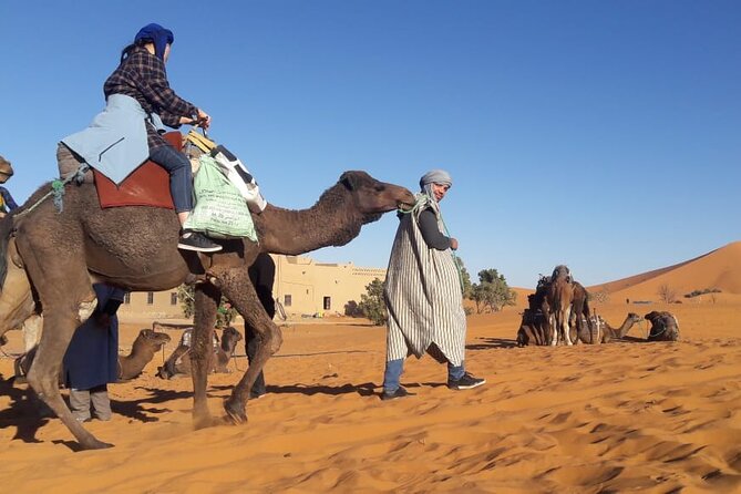Morocco 12 Days Tour from Casablanca - Casablanca and Rabat set the historical tone