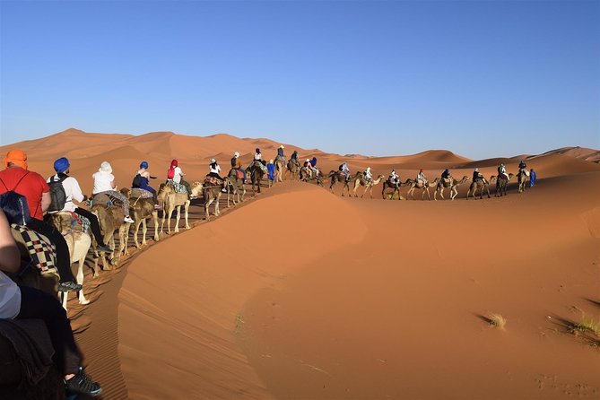 Morocco 9 Days Tour from Casablanca - Fez, Morocco’s most absorbing old city