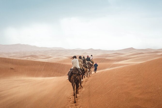 Morocco tour start from Casablanca 8 days - Sunrise, the Ziz Oasis, and Dades Gorge