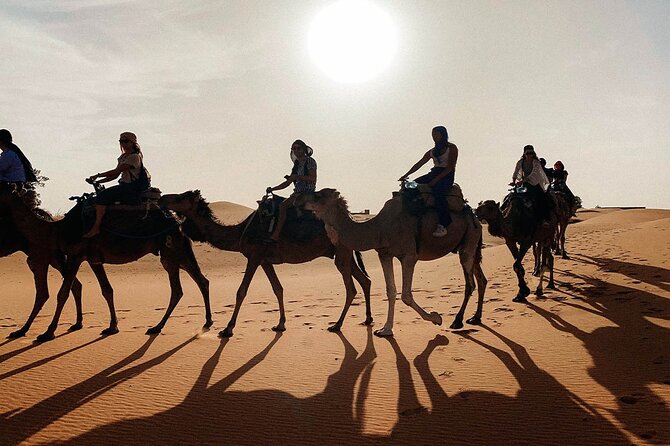 Morocco tour start from Casablanca 8 days - Roses, Ouarzazate, and the unclear final stretch