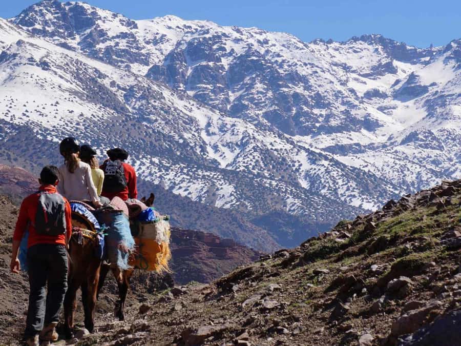 Mount Toubkal Trek 2 Days & 1 Night - Food, water, and Berber hospitality
