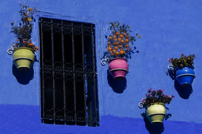One Way Trip from Fes to Tangier via Chefchaouen - Four hours in Chefchaouen