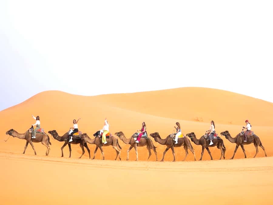 Ouarzazate to Marrakech: 3-Day Desert Tour with Camel Trek - What this three-day route is really like