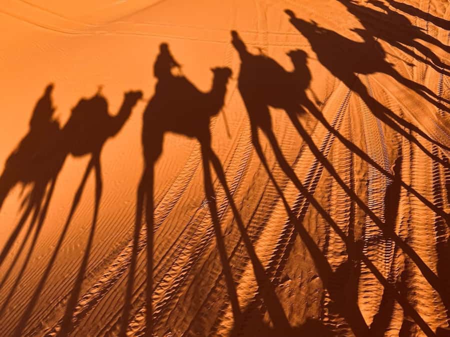 Ouarzazate to Marrakech: 3-Day Desert Tour with Camel Trek - What the $124 price includes