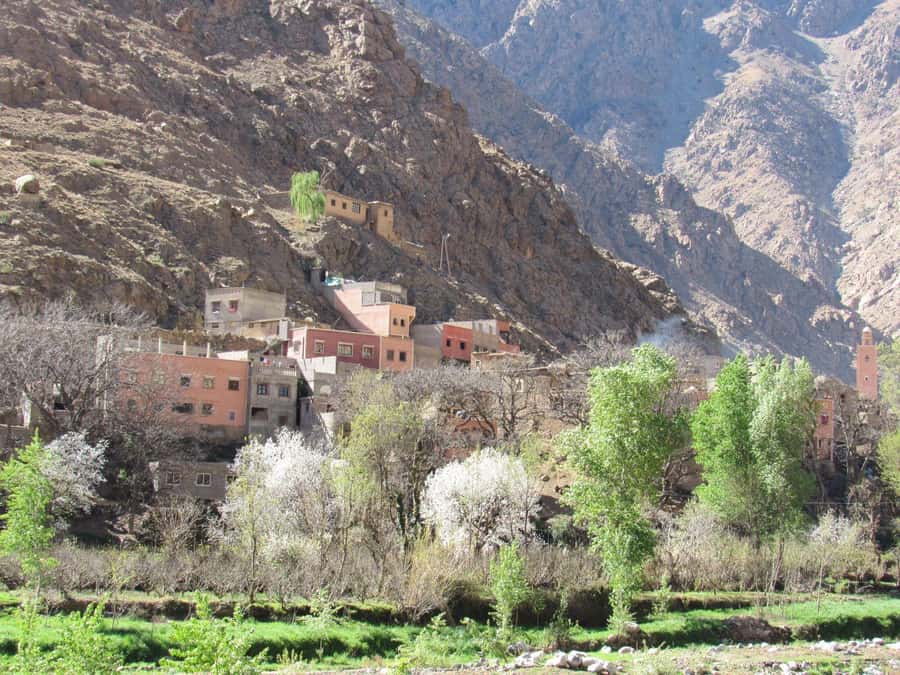 Ourika valley & atlas mountains guided tour from Marrakech - Key points at a glance