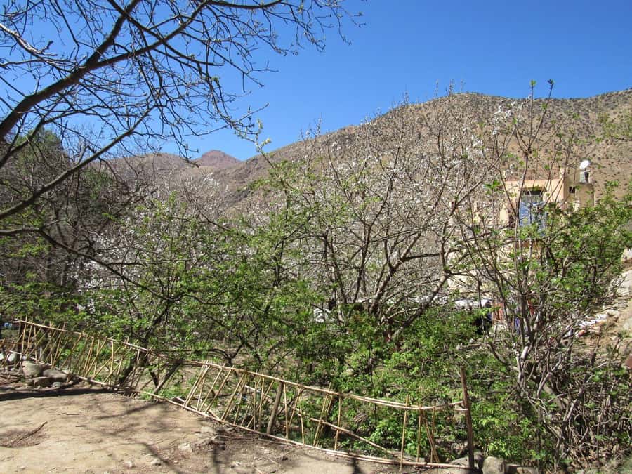 Ourika valley & atlas mountains guided tour from Marrakech - Should you book this Ourika Valley tour?
