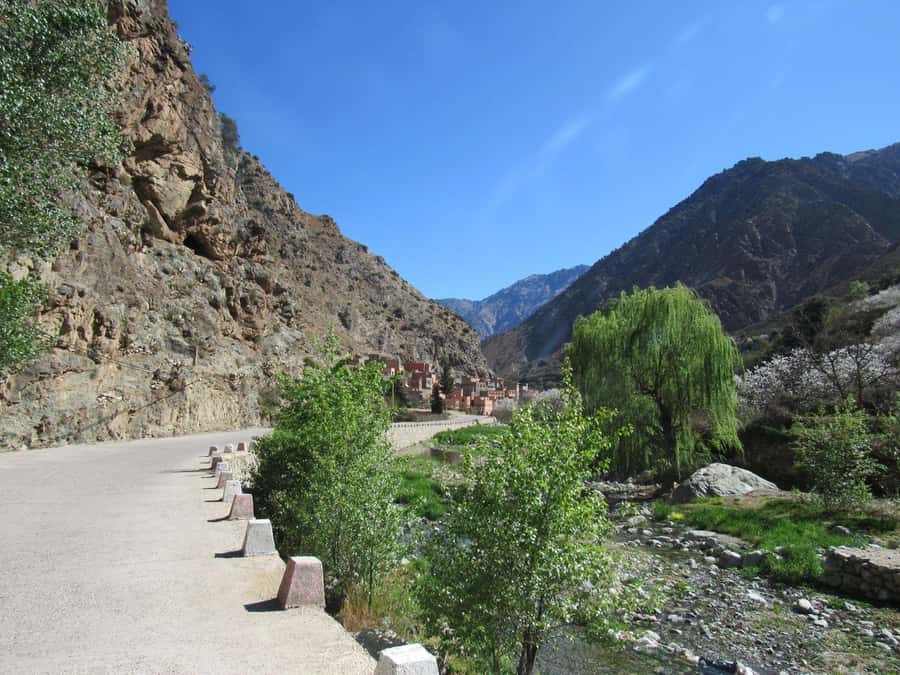 Ourika valley & atlas mountains guided tour from Marrakech - The argan oil cooperative stop
