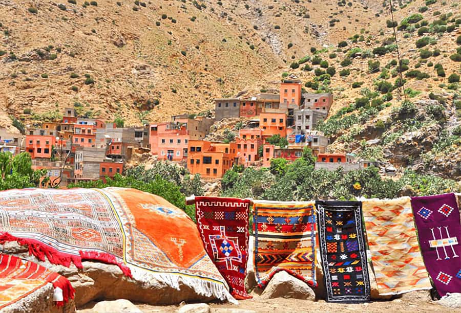 Ourika Valley, Atlas Mountains, Waterfalls & Guided Tour - The argan oil cooperative and the sales pitch