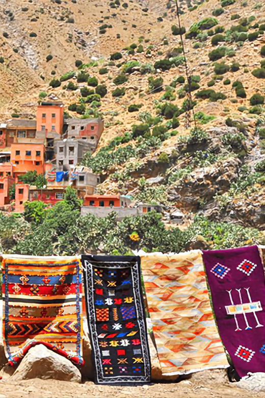 Ourika Valley, Atlas Mountains, Waterfalls & Guided Tour - Transport, group size, and the $22 price