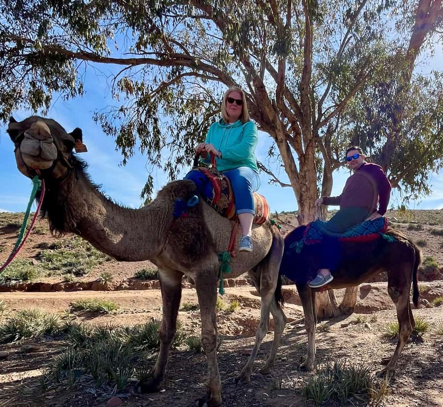 Ourika Valley Private Trip: Lunch, Guide, & Camel Ride - Is $104 a fair price?