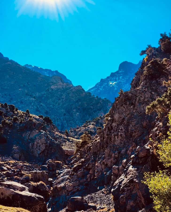Ourika Valley: Quad Biking,Camel Riding,and Hiking Adventure - What the argan cooperative adds