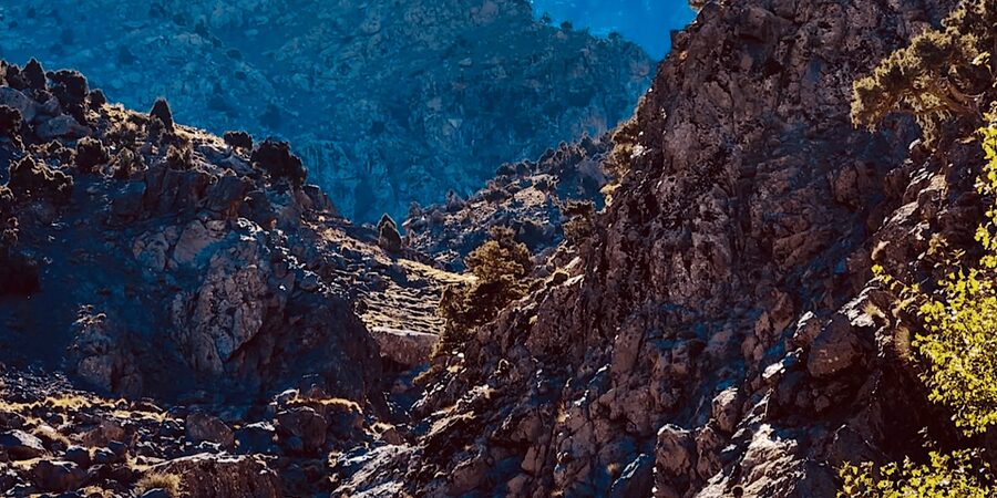 Ourika Valley: Quad Biking,Camel Riding,and Hiking Adventure - Quad biking across Atlas scenery