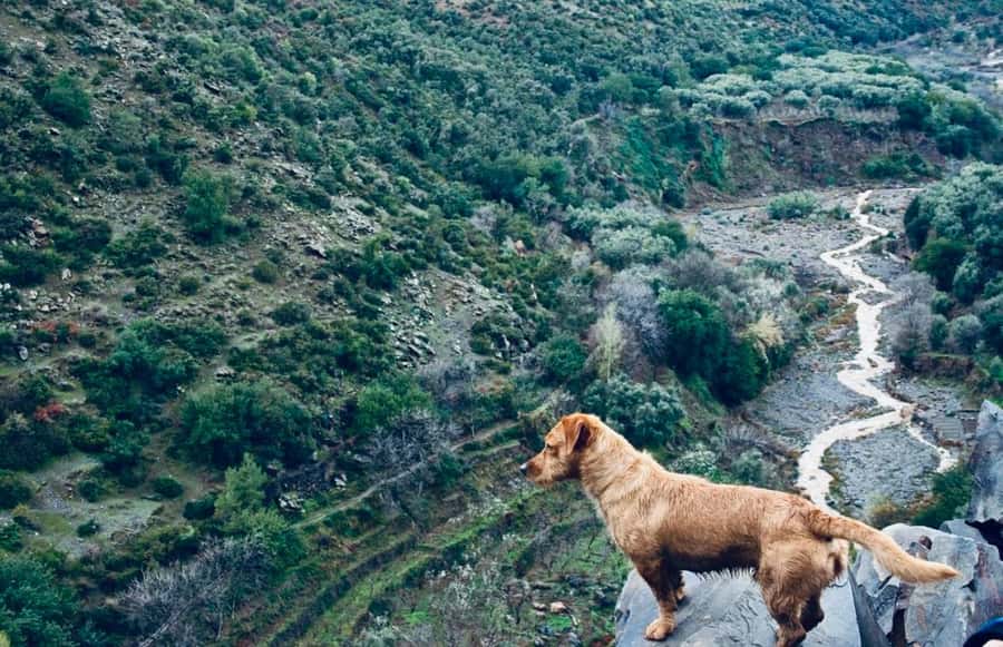 Ourika Valley: Quad Biking,Camel Riding,and Hiking Adventure - A 30-minute camel ride near the end of the day