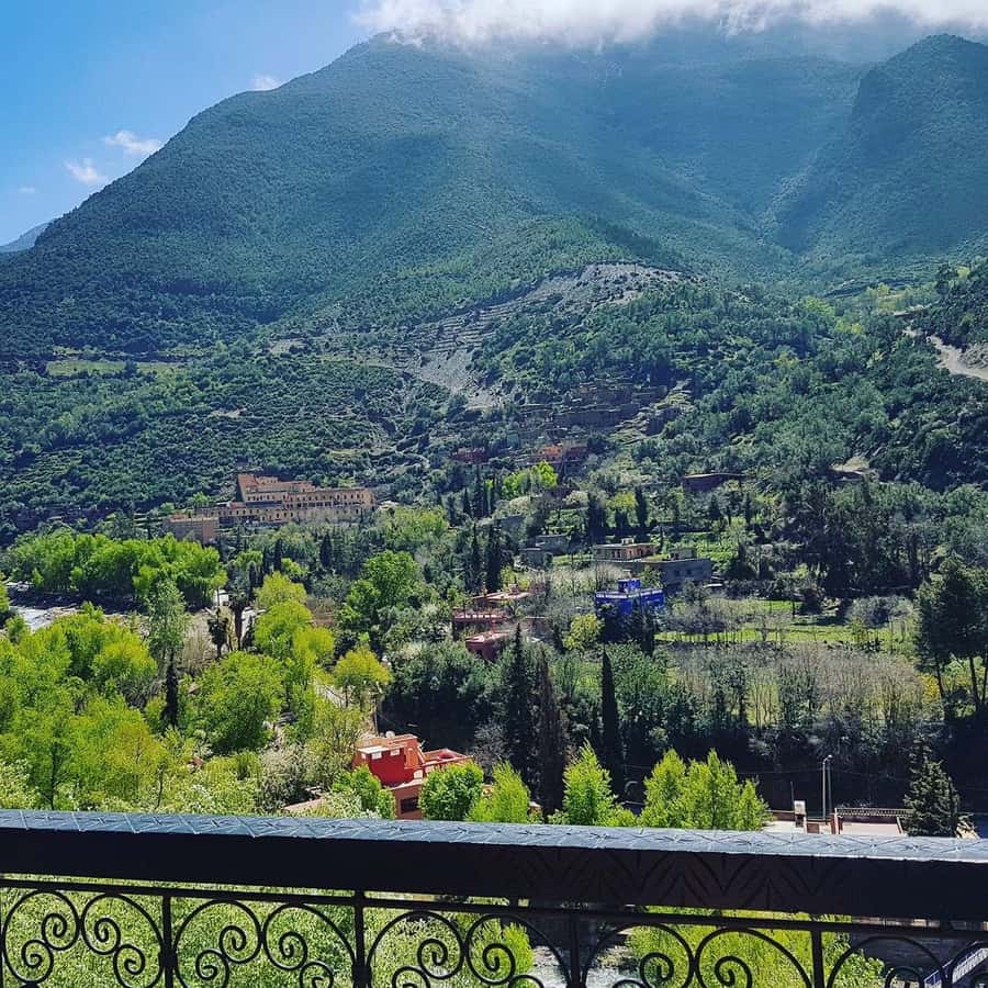Ourika Valley Waterfalls Day Trip From Marrakech - The argan oil cooperative visit