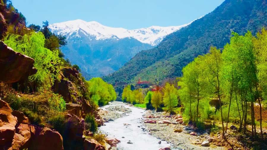 Ourika Valley with Atlas Mountains Day Trip from Marrakech - Should you book the Ourika Valley trip?