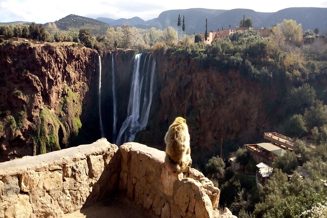 Ouzoud Waterfalls Full Day Trip From Marrakech - The optional boat ride below the falls