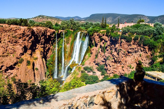 Ouzoud Waterfalls Guided Hike and Boat Trip from Marrakech - Monkeys, olive trees, and Berber culture