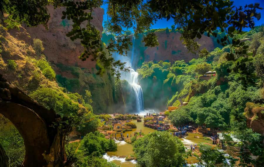Ouzoud Waterfalls: Majestic Guided Hike and Adventure - Walking through olive groves and Berber country