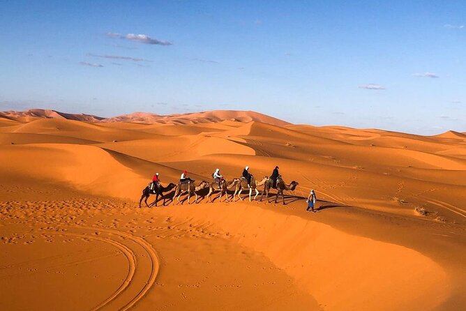 Overnight stay in desert camp & Camel trekking in the Sahara - Timing, group size, and comfort