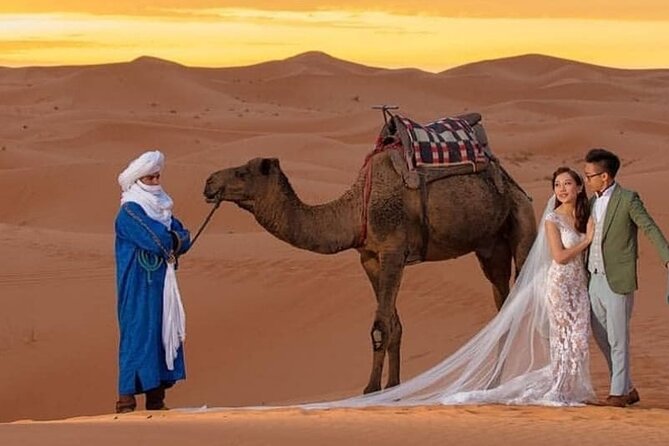 Overnight stay in desert camp & Camel trekking in the Sahara - A slow ride with a big payoff at sunset