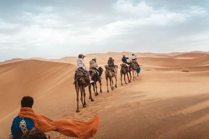 Overnight Tour From Fes to Sahara Desert - Camel riding into Erg Chebbi at sunset