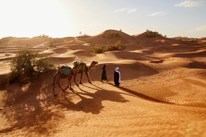 Overnight Tour From Fes to Sahara Desert - Returning through the Middle Atlas