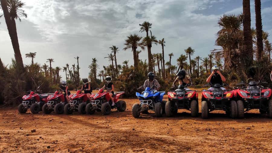 Palmeraie Marrakech Camel Ride & Quad Bike Package Exprience - Mint tea, olives, and a local pause