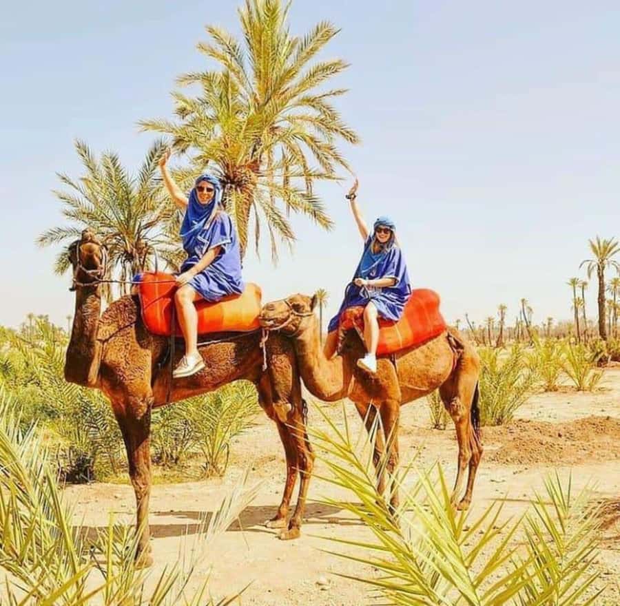 Palmeraie Marrakech Camel Ride & Quad Bike Package Exprience - Pickup from Marrakech and the 30-minute drive
