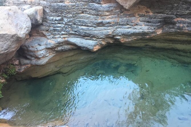 Paradise Valley and Atlas Mountains Adventure in Agadir - Mint tea, honey, and the botanical garden