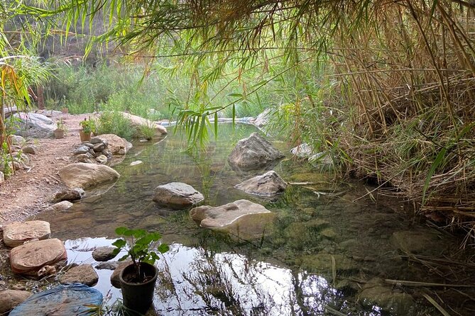 Paradise Valley and Atlas Mountains Adventure in Agadir - Who will enjoy this half-day outing?
