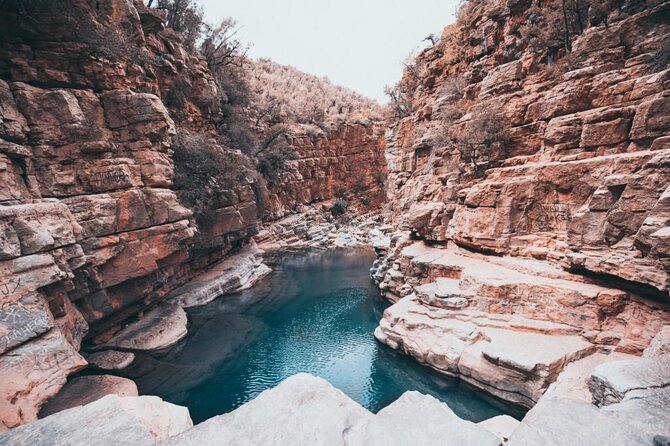 Paradise Valley & Atlas Mountains Adventure with optional LUNCH - Key points to know before booking