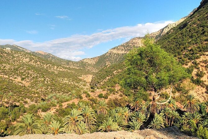 Paradise Valley & Atlas Mountains Adventure with optional LUNCH - Leaving Agadir for the Atlas foothills