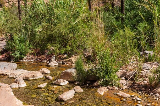Paradise Valley & Atlas Mountains Adventure with optional LUNCH - What the natural pools are really like