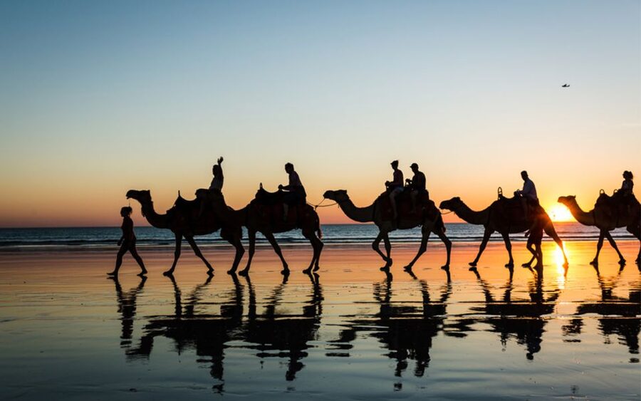 Paradise Valley & Desert Dunes with Camel Ride and quad bike - Should you book this Agadir day trip?