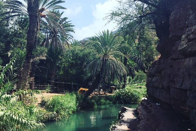 Paradise Valley & The Old Taghazout village Private Tour - From Agadir to the banana village and Atlas foothills