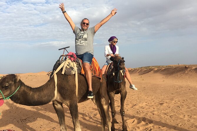 Private 3 Day Luxury Desert Tour from Fez to Marrakech - From Fez to the cedar forests of Azrou