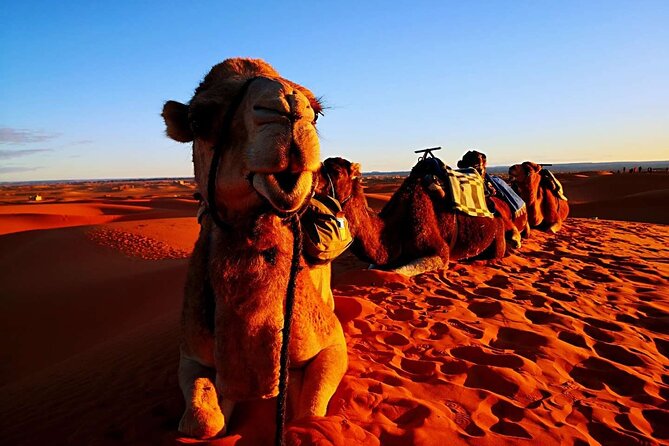 Private 3 Day Luxury Desert Tour from Fez to Marrakech - Food, comfort, and what to pack