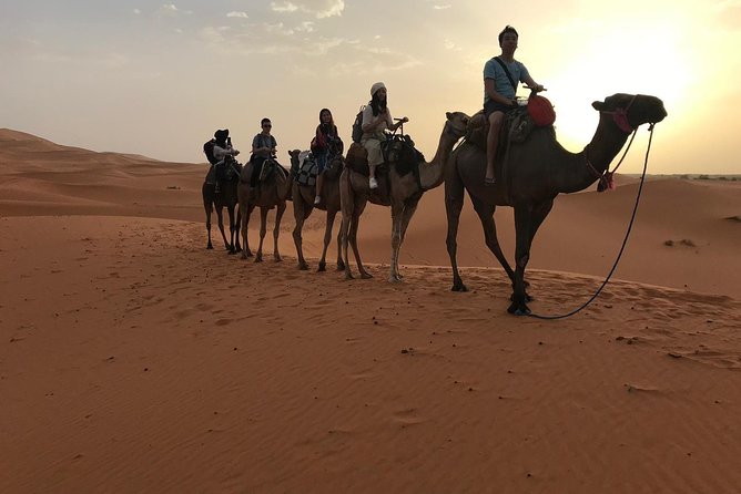 Private 4 Days Desert Tour from Fes to Marrakech - Who will enjoy this route most