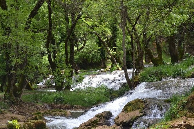 Private Day Tour from Fez to the Middle Atlas - Ifrane brings a surprising change of style